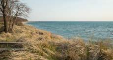 NW ARCADIA BEACH NATURE PRESERVE 3168 LAKE STREET, ARCADIA, MI 49613 Looking for a family-friendly beach to watch the sunset over Lake Michigan in
