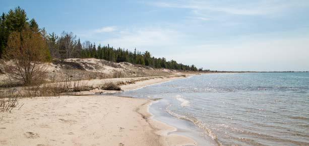 Fisherman s Island State Park is a popular destination for camping, offering 80 rustic campsites leading up to the beach 15 of which are nestled in the dune area along