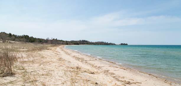 Part of Wilderness State Park in Carp Lake, MI, Sturgeon Bay Dunes features gradient water of rich blue, aquamarine and green along 4,100 feet of Lake Michigan beach.