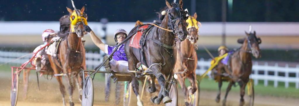 BREEDERS CROWN RACES ABOUT THE HAMBLETONIAN SOCIETY The Hambletonian Society is a non-profit organization formed in 1924 to sponsor the race for which it was named, the Hambletonian Stakes.