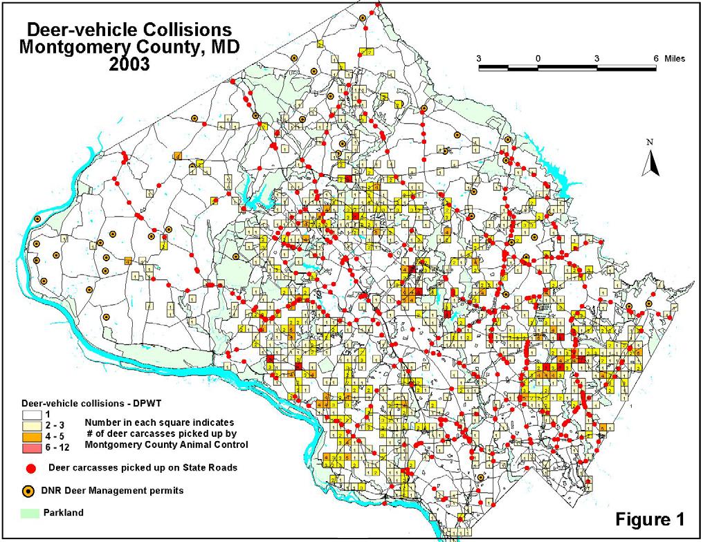 Deer-vehicle collisions are widespread throughout the county (Figure A2.8).