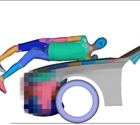 For this reason the pedestrian head in the simplified model hits the hood on his back while the pedestrian in detailed model hits the hood by the shoulder.