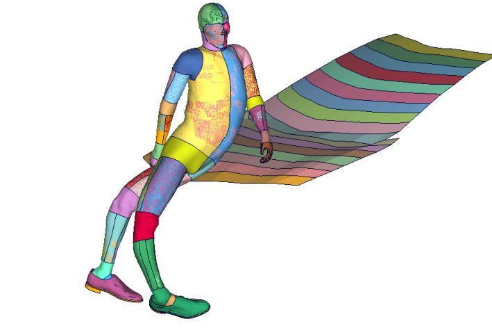 Pedestrian posture is affecting kinematics and causes the head impact to occur at different locations. An example case is shown in Figure 4-11 (AM50, SFC, 40kph, no braking).