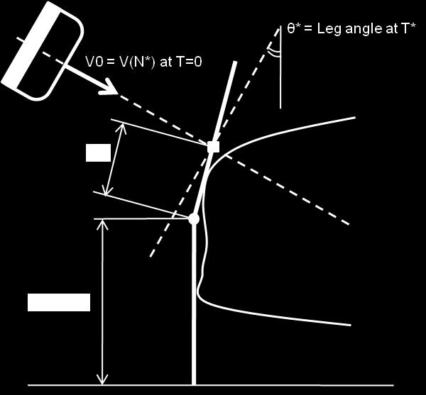 edge reference line (MLERL); Lubbe's proposal for the leg kinematics is supported by the Task 3.