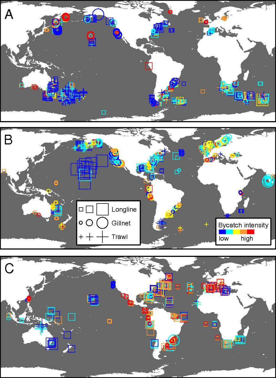 What type of bycatch is common in your area of the world? A: Seabirds, B: Marine Mammals, C: Sea Turtles (1990-2008) (from: http://www.pnas.org/content/111/14/5271.