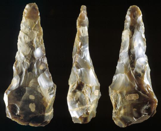 Paleolithic Tools Homo erectus created larger tools with a higher degree of craftmanship.