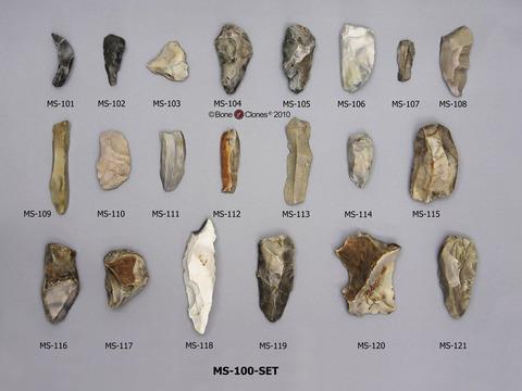 Paleolithic Tools Mousterian Industry is characterized for being more diverse than