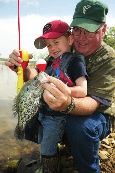 STEVE WEBBER Crappie Aggressive feeders, flakey meat, plentiful numbers can an angler ask for more in a sport fish?