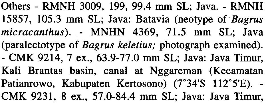 Hypselobagrus micracanthus -Bleeker, 1862: 59, pl. 74 fig. 3 (in part). Macrones micracanthus -Reuvens, 1894: 176; Weber & de Beaufort, 1913: 339 (in part). Mystus micracanthus -Kottelat et al.