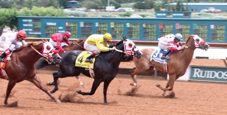 ZIA DERBY (RG2) Here Kittykittykitty By Michael Cusortelli Jay and Mary Lou Standefer s Here Kittykittykitty outran his status as the 10th-fastest qualifier to win the August 1, $126,924 Zia Derby