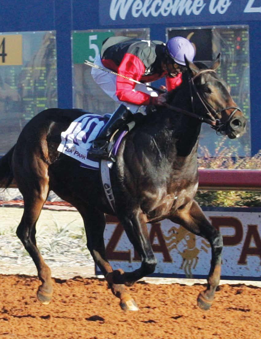 Rig s Runner 2009 New Mexico Horse Breeders Champion 2-year-old TB colt/gelding 2009 New Mexico Horsemen s Association Champion 2-year-old TB colt/gelding Winner of Eddie County Stakes - Zia Park