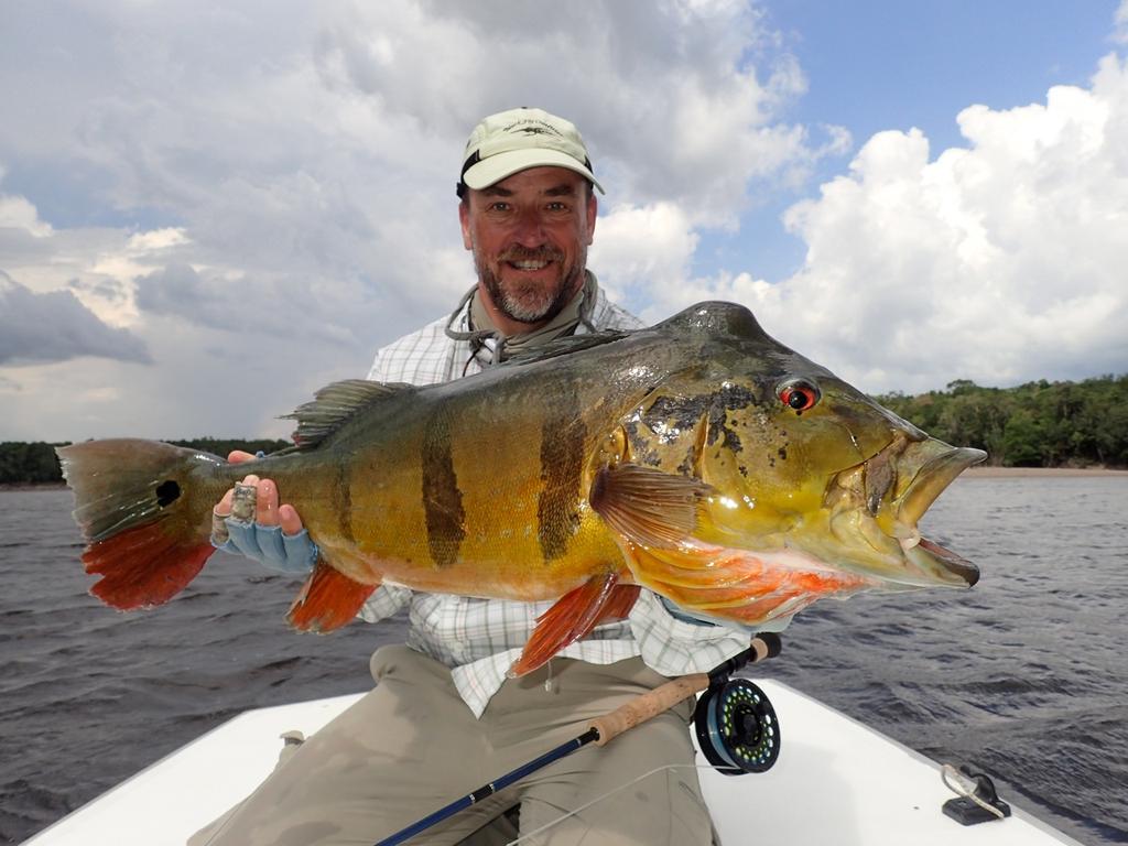 Join Blackfly for a Hosted Trip to the Marié River, Amazon. The Top Peacock Bass Fishery in the World!