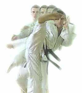 Wąsik J The structure of the roundhouse kick on the example Foot take-off: the competitor rests his body weight on the front foot and he rotates his trunk and his arms in the direction opposite to