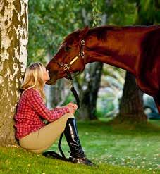 Strong bonds are built with great care. farnamhorse.com As the leader in horse care products for over 65 years, Farnam is commited to supporting the horse industry.