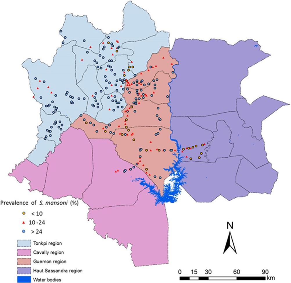 mansoni endemicity areas (10-24%).
