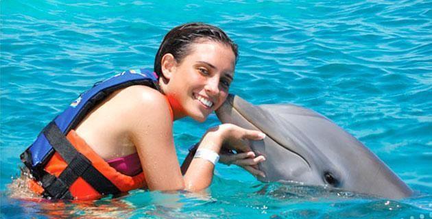 Swim with dolphins Tour Times: Operates Daily from 9:00AM to 4:00PM PRICE p/p $200.00 USD INCLUDES: Towels, wet suit and bottled water.