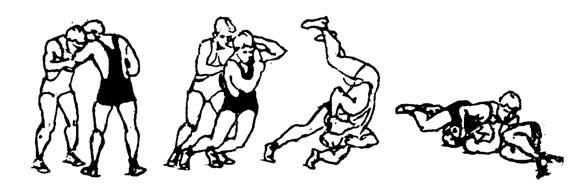 objective assessment tool, was used as the criterion variable. Each referee evaluated, by using marks from 1 5, each of the five wrestling techniques in each subject.