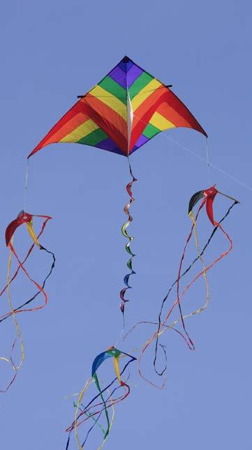 9 Different shapes of kites fly in different ways.