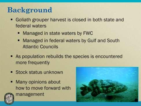 The goliath grouper fishery was closed in 1990 in both state and federal waters because of severe overexploitation.