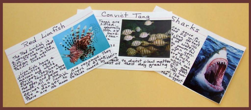 Fish Cards Activity 10 Introduction There are many fantastic fish that live in the ocean. Most fish are in a constant battle to eat or be eaten.