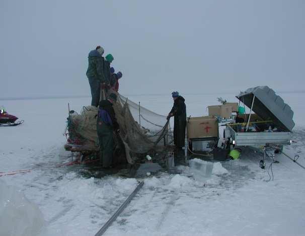 Fishing methods The majority of the annual fish catch is taken in winter by