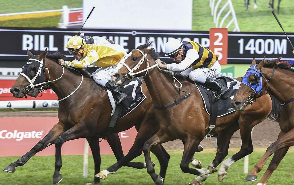 l CHRIS WALLER RACING - WINNERS THIS WEEK winx 6yo M Street Cry - Vegas Showgirl by Al Akbar The mighty mare made it 20 straight in the Group 1 George Main Stakes over the Randwick mile on Saturday.