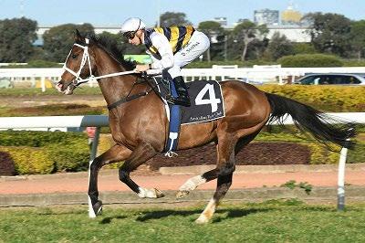 Take Two For Tom Melbourne Tom Melbourne s luckless first up showing could see Chris Waller change tact with the seven-year-old with Saturday s $200,000 Group Two Tramway Stakes (1400m) a fork in the