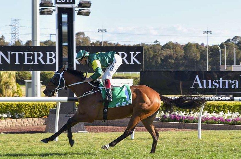 l CHRIS WALLER RACING - WINNERS THIS WEEK alward 5yo G Aqlaam - Sharedah by Pivotal Having won in impressive fashion at Flemington a couple of weeks prior this former French trained