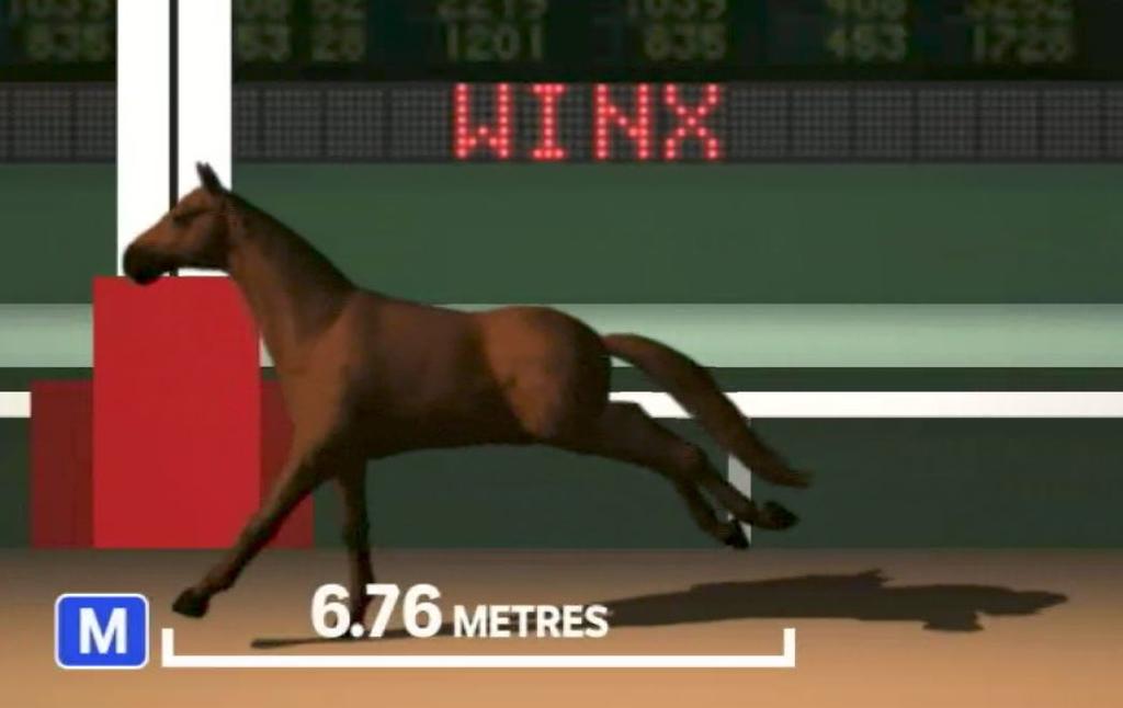 WHAT MAKES WINX SO FAST? IT S NOT THE SIZE OF HER STRIDE, IT S THE RATE SHE CAN PUT IT DOWN Every minute Winx is in full motion she takes 170 strides.