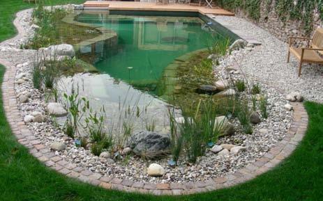 What does a BioNova Natural Pool look like?