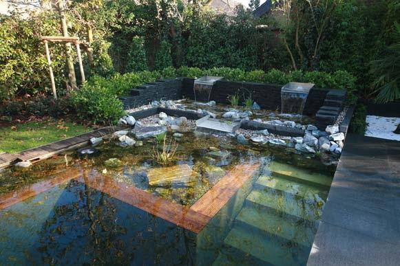 The swimming portion of the pool can look like a conventional swimming pool or like a natural pond in virtually limitless configurations.