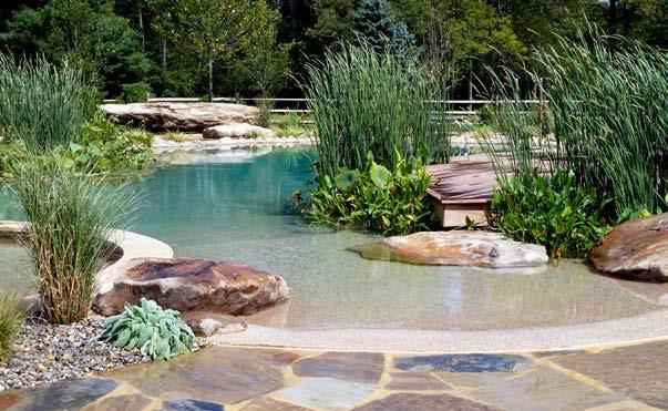 transform your existing chemically-treated in-ground pool into a
