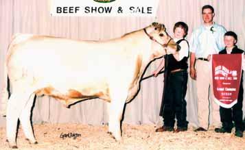 SHOW HEIFER BASICS When picking out or purchasing your heifer you will need to consider some very important factors that will influence how she will be judged at the fair.