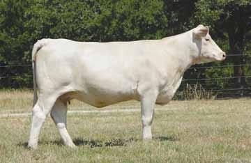 Welcome G rove 114 Sells as Lot 51 51 Welcome G rove 3.26.