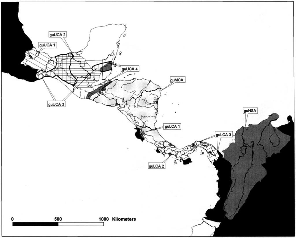 A. Perdices et al. / Molecular Phylogenetics and Evolution 25 (2002) 172 189 179 Fig. 3. Map showing the geographical distribution of the R. guatemalensis mtdna lineages.