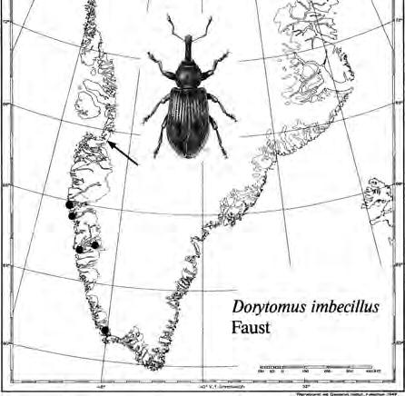 93:24). Fig. 3.1. The dots indicate the present distribution of the circumpolar and boreal beetle Trichocellus cognatus (Böcher 1988b:14).