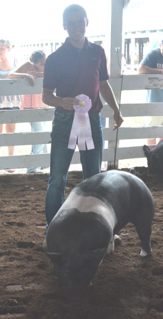Swine Show Grand Champion
