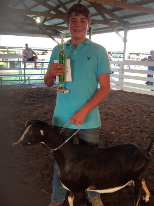 Champion Dairy Goat Wether went