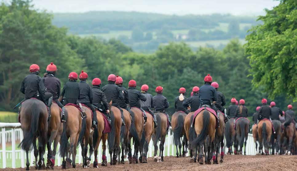 Trainers revenue The main source of trainers revenues is the training fees described in the Owners section, but trainers do also benefit from a share of prize money.