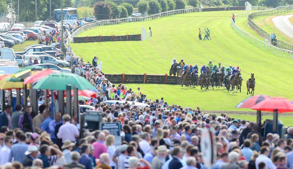 Other overseas betting GBI Racing and SIS are the rights distributors of Irish racing to overseas retail betting outlets and online operators.