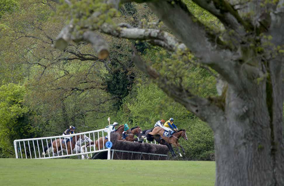 Domestic importance Point-to-point Point to point racing has long been a source of horses, riders and trainers for racing under rules.