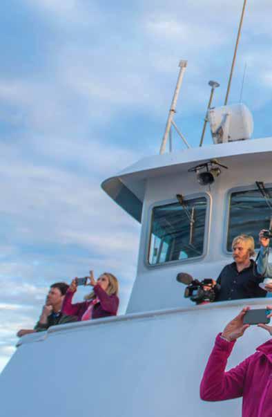THE PERFECT PLATFORM TO EXPLORE WILD ALASKA Our CEO & Founder Sven Lindblad envisioned ship-based exploration as a moving safari camp capable of traveling among otherwise inaccessible wild areas an