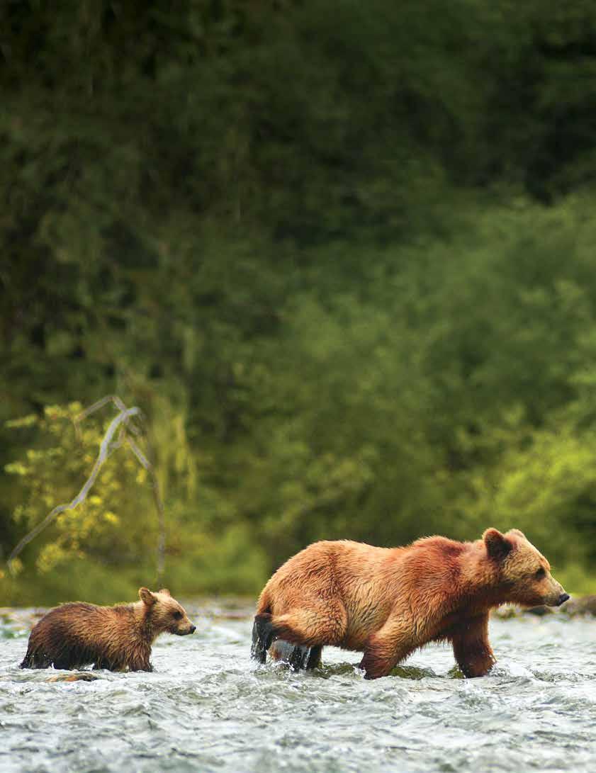 NEW TREASURES OF THE INSIDE PASSAGE: ALASKA AND BRITISH COLUMBIA 13 DAYS/12 NIGHTS ABOARD NATIONAL GEOGRAPHIC QUEST PRICES FROM: $9,390 to $14,835 (See page 41 for complete prices.