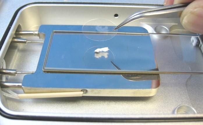 it is sitting flat on the heating block. Place the sample on top of the microscope glass slide.