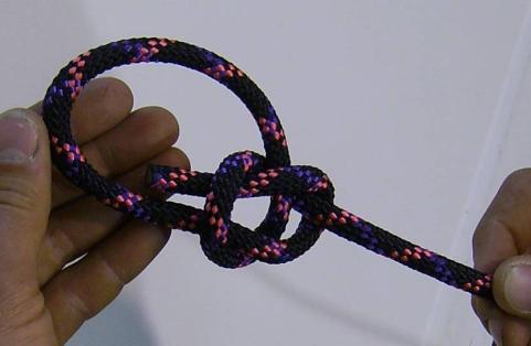 loop Pass the tail around the standing rope Thread the tail back through