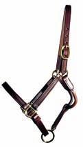 Halters A breeding shed standard. Just a bit larger with heavier brass hardware than our popular Track Halter.