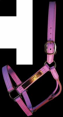 ) Pink It all started a week and a half before the 2010 Kentucky Derby - we were asked to make Presentation Halters for the