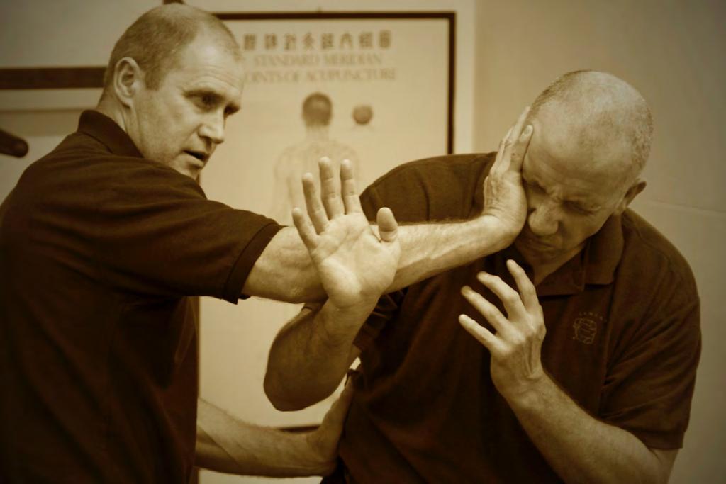 Swallow Spit Float Sink Tun Tou Fou Chahm This phrase is often used in the Wing Chun Kuen art. However, the roots lie much deeper in Chinese martial arts.