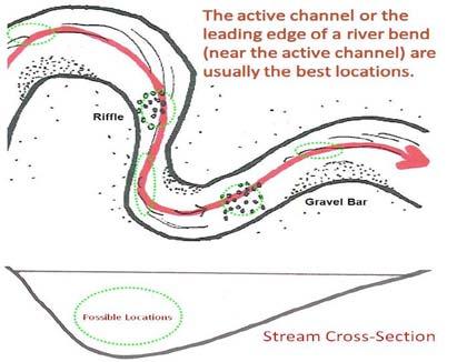 The diagram below illustrates ideal spots to place temperature probes: From: Draft; Guidance for Placing Temperature Loggers in Streams Washington Department of Ecology,2009.