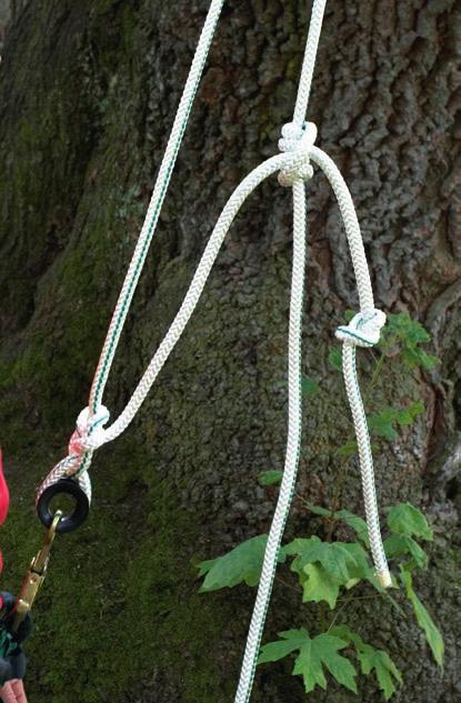 SAMSON CLIMBING SYSTEMS Traditional & Modern Split-Tail Climbing Systems Two commonly used